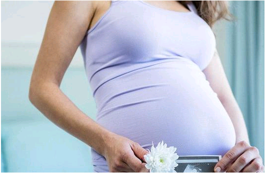 卵巢早衰有希望怀孕吗&捐卵去哪,宝宝营养粥食谱做法大全天天都有新花样