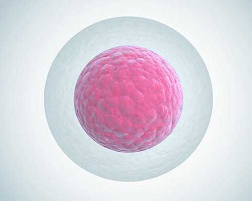 天津代孕助孕中介,泰国试管婴儿囊胚PGS成功率和年龄关系大吗？_试管移植后腹