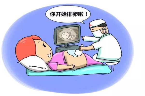 闵行49岁借卵试管成功率_长沙黑市试管婴儿医院-做试管婴儿的全部过程是怎么