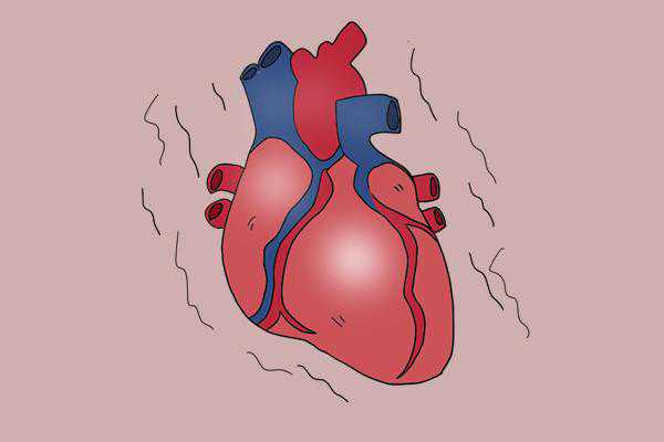 29岁试管三次全部失败&供卵试管治疗方案&什么是“人工心脏”？安装人工心脏
