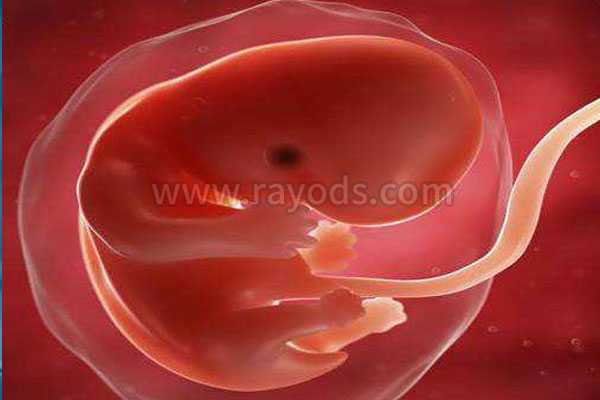 杨浦54岁供卵移植囊胚的成功率_杨浦51岁自卵和赠卵成功率_试管冻胚移植第二十