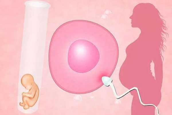 自贡代孕成功案例_泰国试管婴儿为什么有的人取卵比较少，原因是什么？